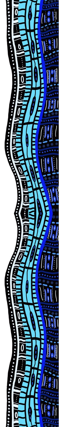 Eurobodalla ocean motif